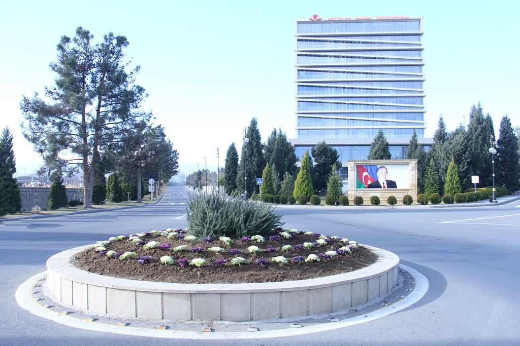 aIMG_0505.JPG