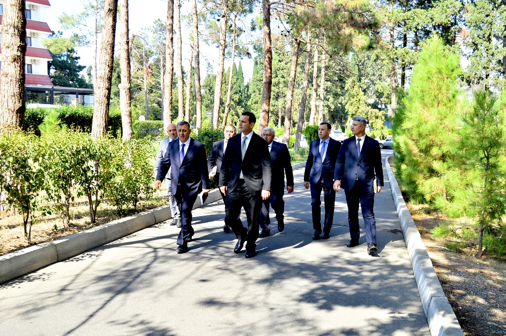 ADSC_0172.JPG