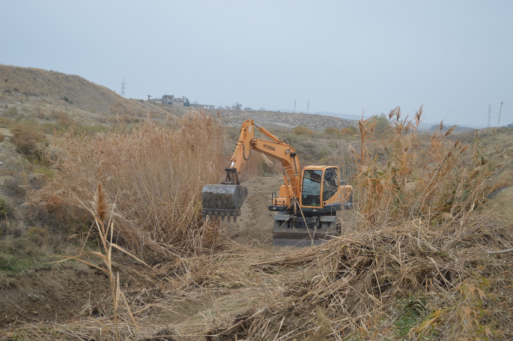 aDSC_0102.JPG