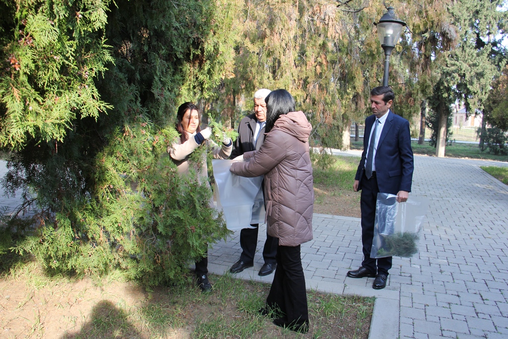 AIMG_0019.JPG