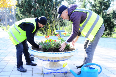 Yaşıllaşdırma işləri davam edir