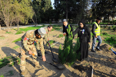 “Zəfər Səlnaməsinin 5 ili”