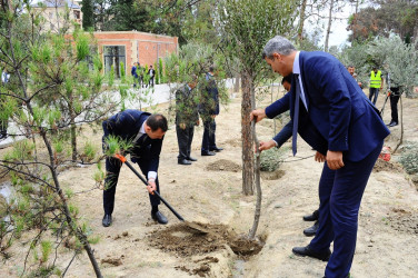 Anım Günü ilə əlaqədar ağacəkmə aksiyası keçirilib