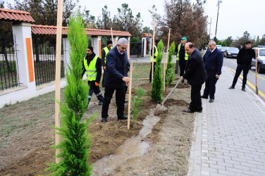 A tree planting action was held in Naftalan