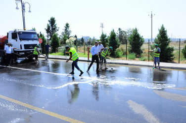 A citywide Subbotnik was held in Naftalan
