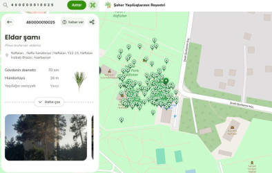 Green areas inventory in Naftalan