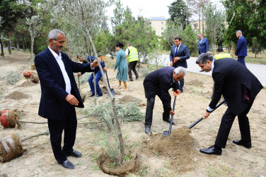 Tree planting action held in connection with Memorial Day