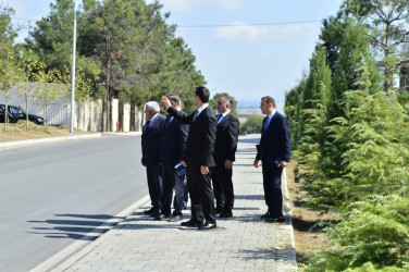 Şəhər İcra Hakimiyyətinin başçısı parklara baxış keçirib