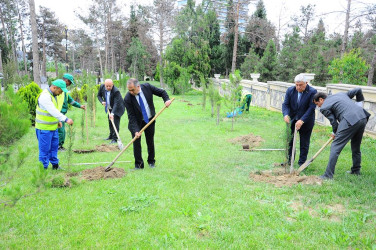 Another tree planting action was held within the framework of the” year of Constitution and sovereignty"