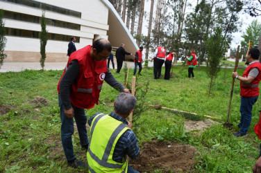 A tree planting action was held on the occasion of the International Red Cross and Red Crescent Movement Day