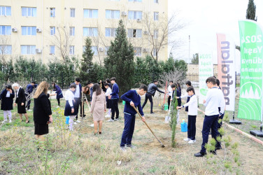 Tree planting action was held within the framework of the ”Only one World" project