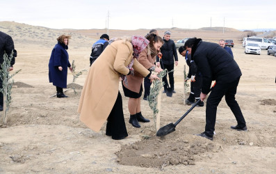 Tree planting action held in Naftalan within the framework of “Year of Heydar Aliyev”