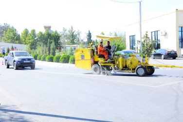 A citywide Subbotnik was held in Naftalan