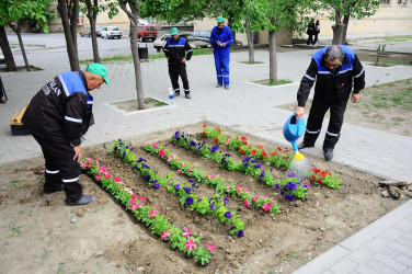 “Konstitusiya və Suverenlik İli” çərçivəsində növbəti ağacəkmə aksiyası keçirilib