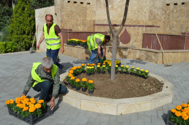 Yaşıllaşdırma işləri davam etdirilir