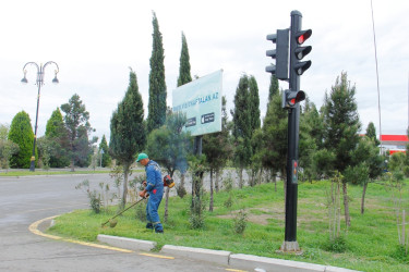 Tree planting and landscaping are underway in Naftalan