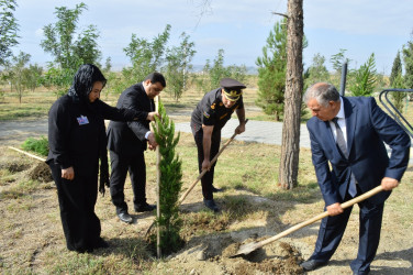 Naftalanda 27 sentyabr Anım Günü tədbiri keçirilib