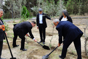 Anım Günü ilə əlaqədar ağacəkmə aksiyası keçirilib