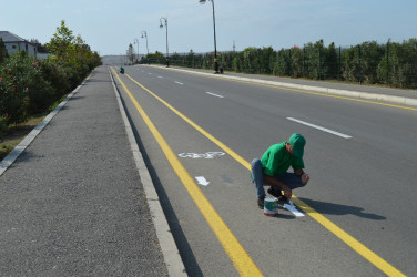 Yaşıl Dünya Naminə Həmrəylik İli çərçivəsində yaşıllıqlar salınır