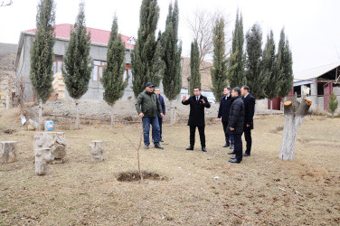 "Qaşaltı Bağları" layihəsi ilə bağlı görüş təşkil olunub