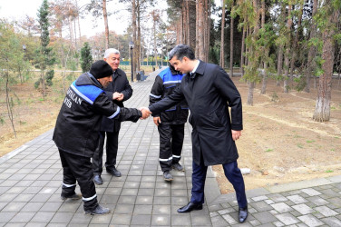 Naftalanda keçirilən ağacəkmə aksiyasında ilk dəfə olaraq yerli şəraitə uyğunlaşdırılmış Adəmalması (maklyura) ağacı əkilib