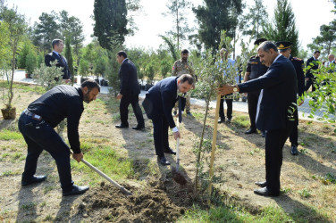 Naftalanda 27 sentyabr Anım Günü tədbiri keçirilib