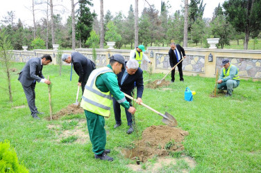 “Konstitusiya və Suverenlik İli” çərçivəsində növbəti ağacəkmə aksiyası keçirilib