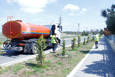 Naftalanda ağacəkmə və abadlıq işləri aparılır