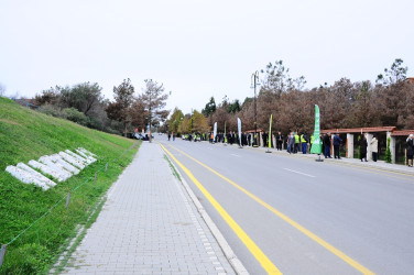 A tree planting action was held in Naftalan