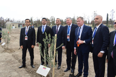 “Naftalan – sağlamlıq və Turizmin Sinerji Mənbəyi Regionda Yeni Reallıqlar” Beynəlxalq Elmi-Praktik Konfrans keçirilib