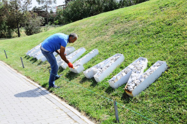 Yaşıl Dünya Naminə Həmrəylik İli çərçivəsində yaşıllıqlar salınır