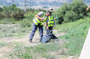 Şəhər ərazisi tullantılardan təmizlənib