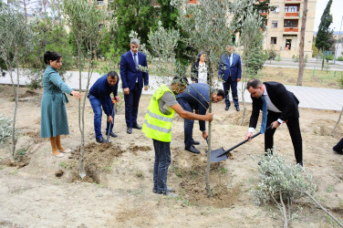 Anım Günü ilə əlaqədar ağacəkmə aksiyası keçirilib