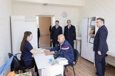 Naftalanda özünüməşğulluq proqramı üzrə qurulmuş təsərrüfatlara və Reabilitasiya Mərkəzinə baxış olub