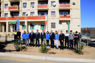 A tree-planting action dedicated to the 100th anniversary of the Great Leader was held