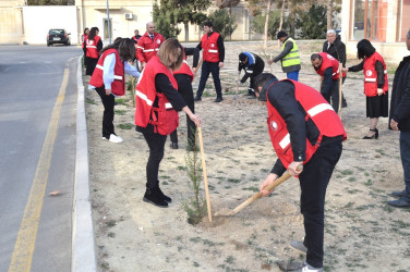 Tree planting action held on the occasion of International Volunteer Day