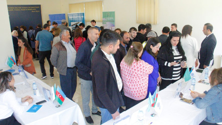 Naftalanda əmək yarmarkası keçirilib