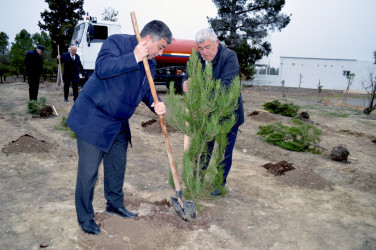 “Şəhərsalma və Memarlıq İli” çərçivəsində ağacəkmə aksiyası keçirilib