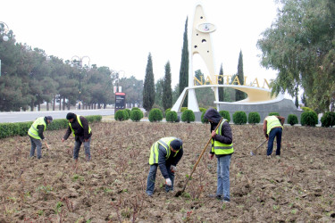 “Şəhərsalma və Memarlıq İli” çərçivəsində ağacəkmə aksiyası keçirilib