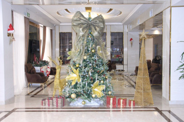 Preparations for the new year have been completed at tourism enterprises in Naftalan