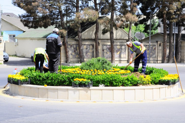 Landscaping work continues