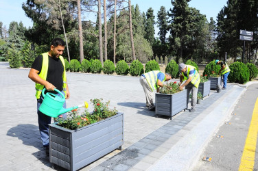 A citywide Subbotnik was held in Naftalan
