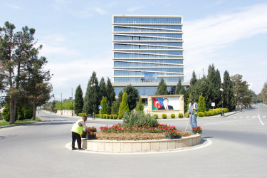 Naftalanda beynəlxalq yarışa hazırlıq işləri davam etdirilir