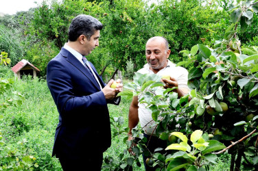 "Qaşaltı Bağları"na baxış keçirilib