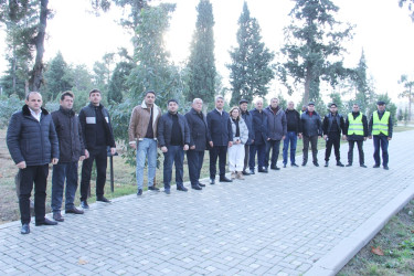 Another tree planting action was held in Naftalan