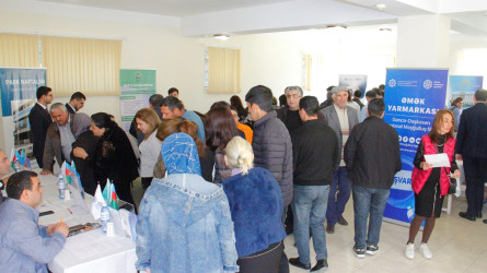 Naftalanda əmək yarmarkası keçirilib