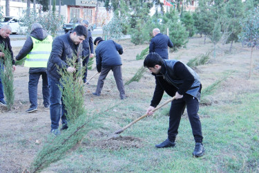 Another tree planting action was held in Naftalan