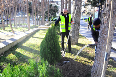 Yaşıllaşdırma işləri davam edir