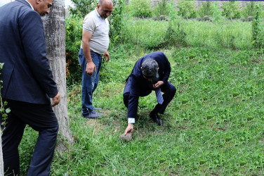 "Qaşaltı Bağları"na baxış keçirilib