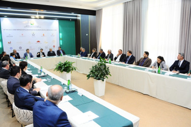 Turizm şəhərinin inkişafında sahibkarlığın rolu